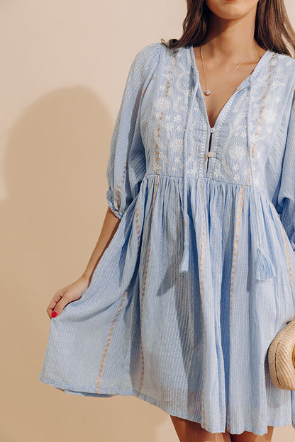 Pretty Details Floral Embroidered Mini Dress