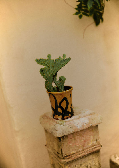 Hoxton Gardenware Small Slipware Planter | Honey