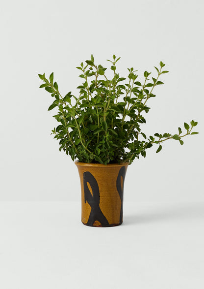 Hoxton Gardenware Small Slipware Planter | Honey