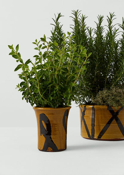 Hoxton Gardenware Small Slipware Planter | Honey