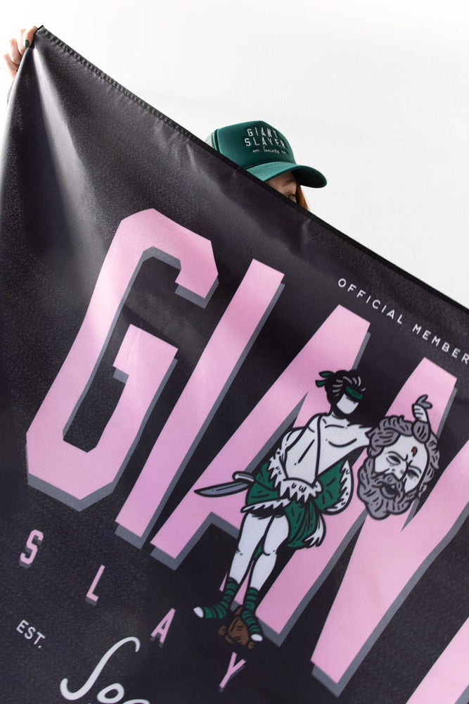 barnabas clothing - david and goliath flag